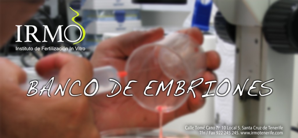 Tenerife · Fecundación In Vitro · Ginecología y Obstetricia · Seminogramas · Técnicas de Reproducción · Banco de Embriones · Donación de Ovocitos · Diagnóstico Genético Preimplantacional DGP · Urología y Endocrinología · Congelación Semen y Ovocitos · Ecografías 4D ·